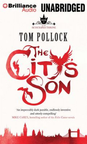 Audio The City's Son Tom Pollock