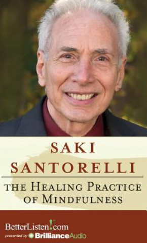 Hanganyagok The Healing Practice of Mindfulness Saki Santorelli