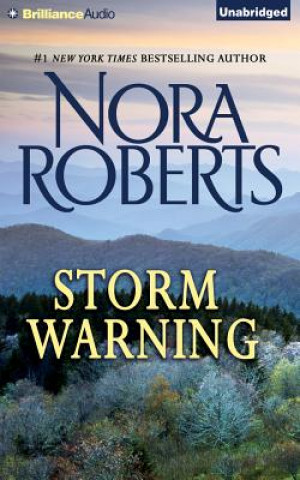 Аудио Storm Warning Nora Roberts