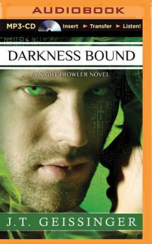 Digital Darkness Bound J. T. Geissinger
