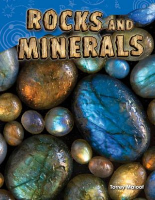 Könyv Rocks and Minerals Torrey Maloof