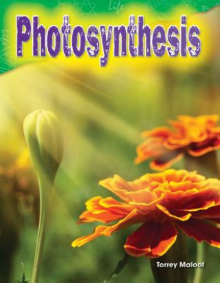 Kniha Photosynthesis Torrey Maloof