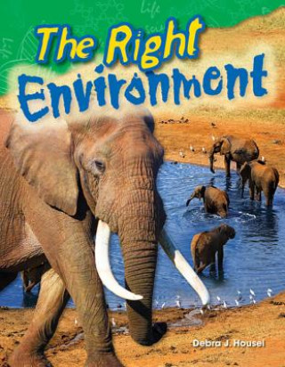 Kniha Right Environment Debra J. Housel