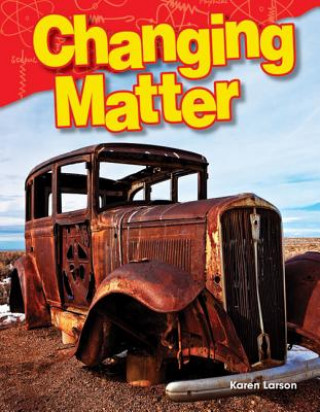 Kniha Changing Matter Karen Larson
