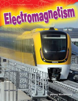 Livre Electromagnetism Jenna Winterberg