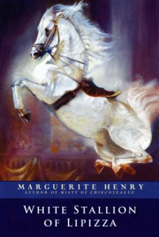 Kniha White Stallion of Lipizza Marguerite Henry