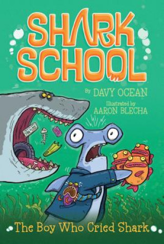 Buch The Boy Who Cried Shark Davy Ocean