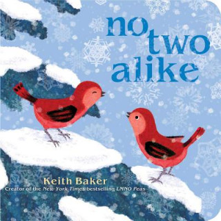 Βιβλίο No Two Alike Keith Baker