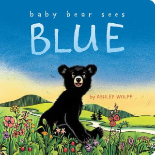 Livro Baby Bear Sees Blue Ashley Wolff