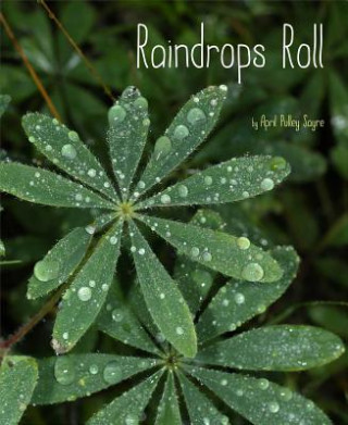 Книга Raindrops Roll April Pulley Sayre