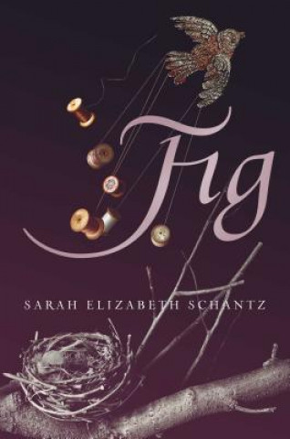 Knjiga Fig Sarah Elizabeth Schantz