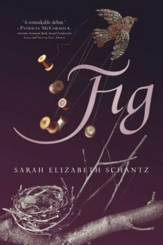 Knjiga Fig Sarah Elizabeth Schantz