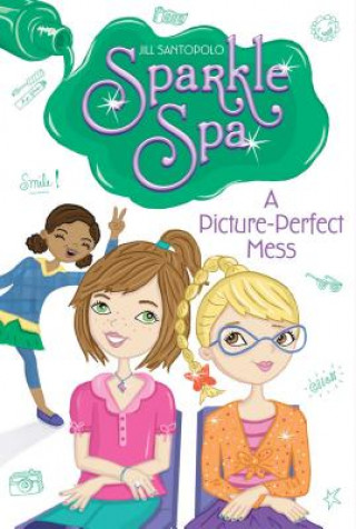 Книга A Picture-Perfect Mess Jill Santopolo