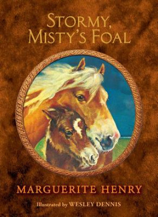 Kniha Stormy, Misty's Foal Marguerite Henry