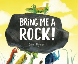 Book Bring Me a Rock! Daniel Miyares