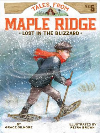 Book Lost in the Blizzard Grace Gilmore