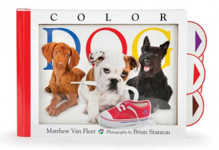 Kniha Color Dog Matthew Van Fleet