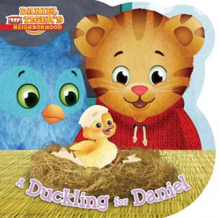Kniha Duckling for Daniel Angela C. Santomero