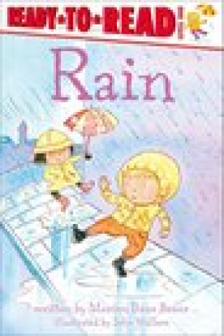 Kniha Rain Marion Dane Bauer