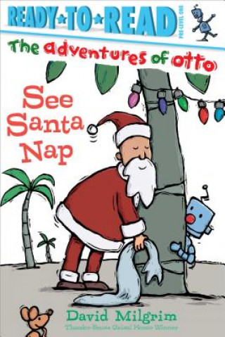 Kniha See Santa Nap David Milgrim