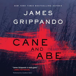 Audio Cane and Abe James Grippando
