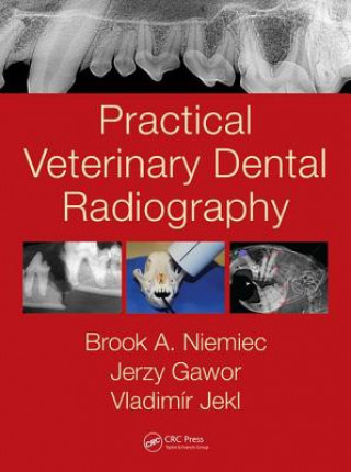 Könyv Practical Veterinary Dental Radiography Brook A. Niemiec