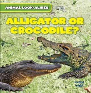 Knjiga Alligator or Crocodile? Rob Ryndak