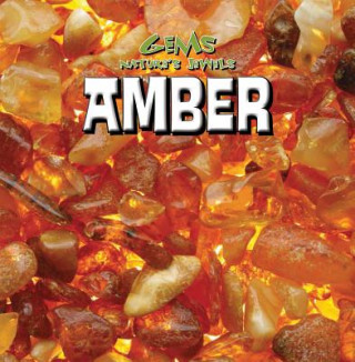Knjiga Amber Michael Rajczak