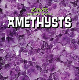Βιβλίο Amethysts Emily Jankowski Mahoney