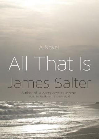 Audio All That Is James Salter