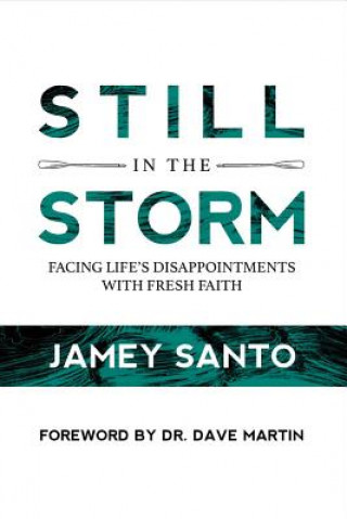Carte Still in the Storm Jamey Santo