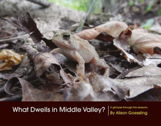 Kniha What Dwells in Middle Valley? Alison Goessling