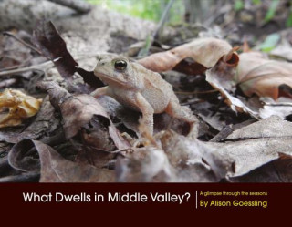 Buch What Dwells in Middle Valley? Alison Goessling