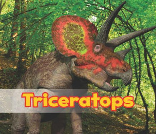 Carte Triceratops Daniel Nunn