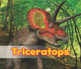 Könyv Triceratops Daniel Nunn