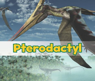 Libro Pterodactyl Daniel Nunn