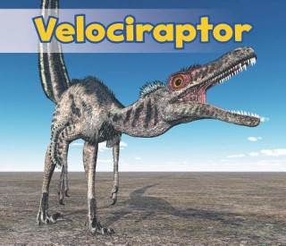 Knjiga Velociraptor Daniel Nunn