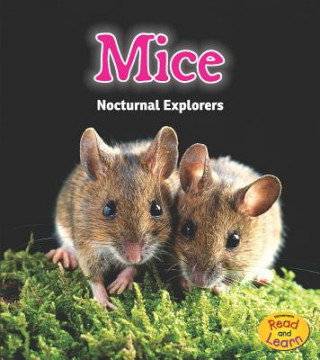 Buch Mice Rebecca Rissman