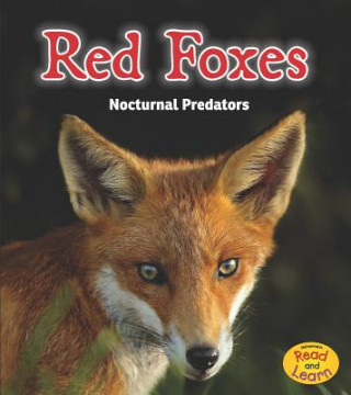 Kniha Red Foxes Rebecca Rissman