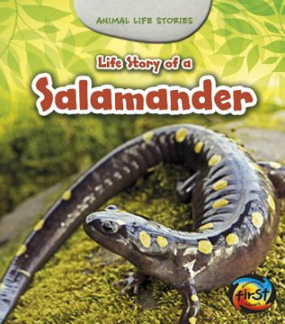 Kniha Life Story of a Salamander Charlotte Guillain