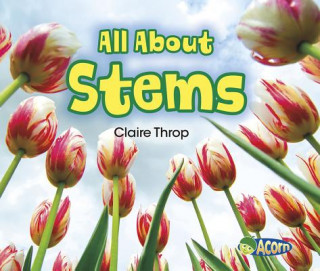 Könyv All About Stems Claire Throp