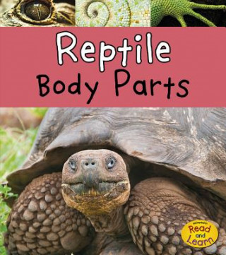 Kniha Reptile Body Parts Clare Lewis