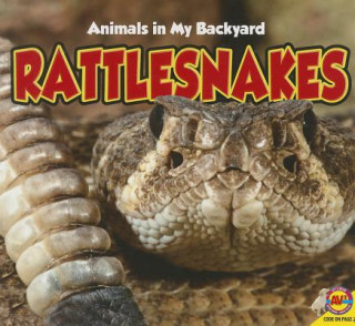 Carte Rattlesnakes Aaron Carr