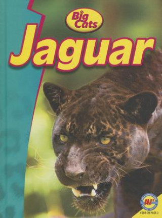 Könyv Jaguar Lauren Diemer