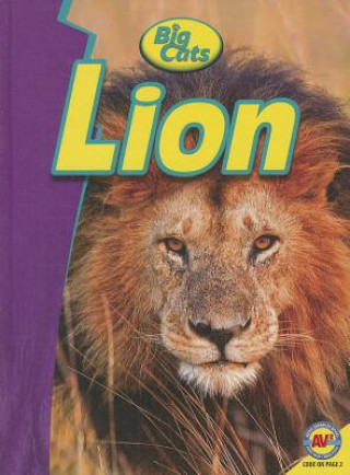Buch Lion Ruth Daly