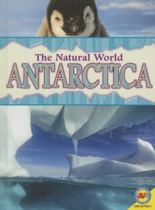 Kniha Antarctica Steve Goldsworthy