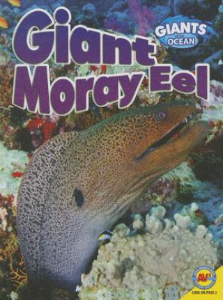 Könyv Giant Moray Eel Anita Yasuda
