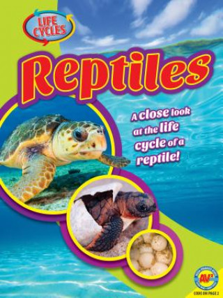 Buch Reptiles Jack Zayarny