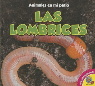 Book Las lombrices / Earthworms Aaron Carr