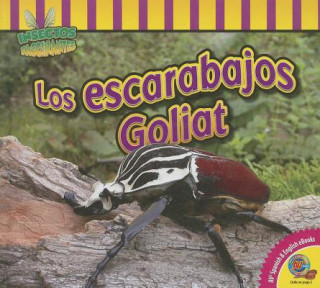 Kniha Los escarabajos Goliat / Goliath Beetles Aaron Carr